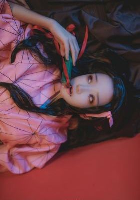 细狗网页版登录入口